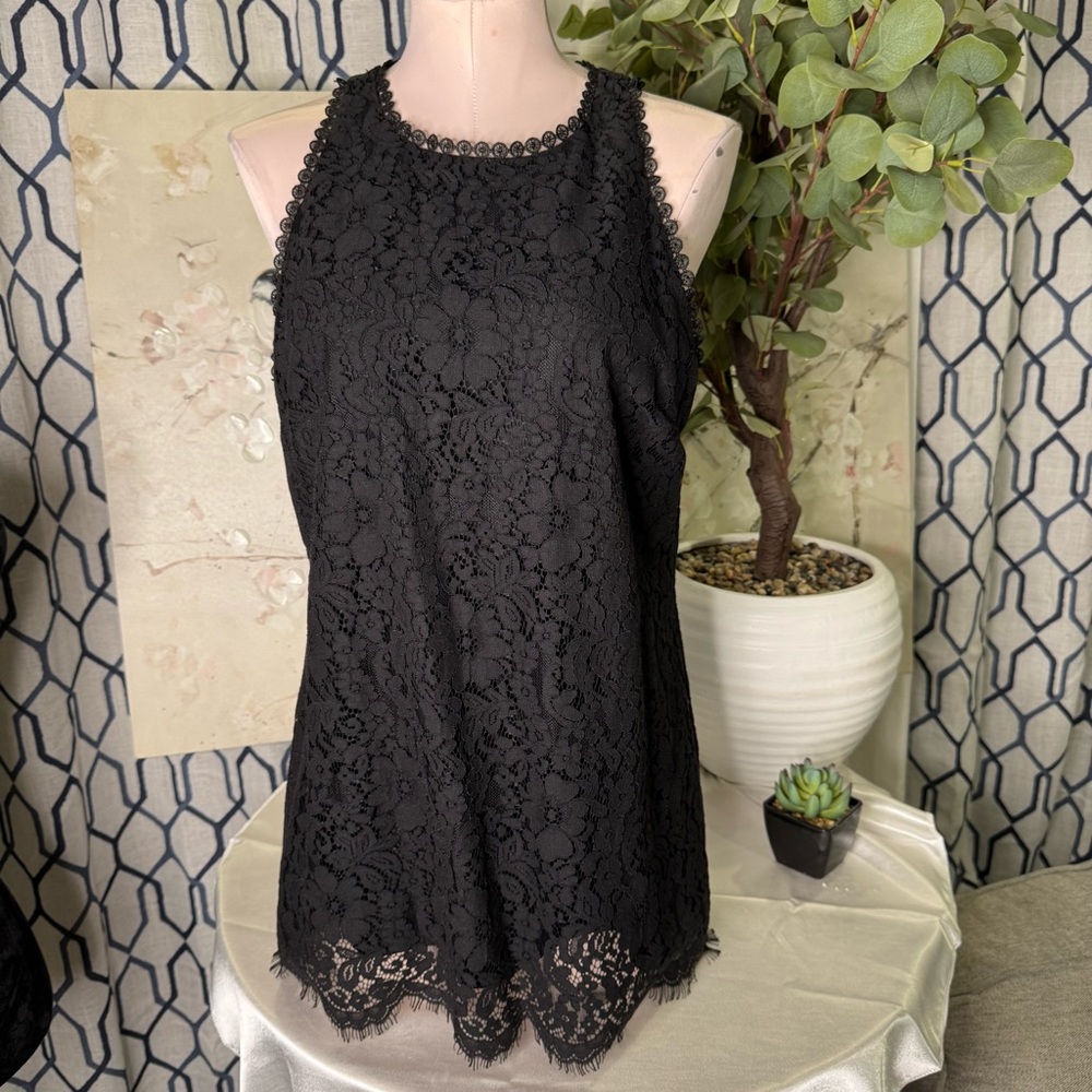 CAbi Black Lace Mini Dress